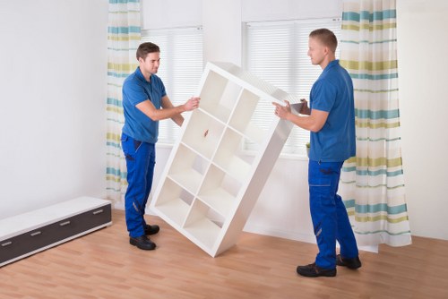 Careful loading of boxes and household items into a removal van