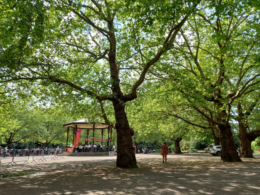 A large park with expansive paved paths shaded by tall, mature trees with thick trunks and dense green foliage. In the background, there is a small bandstand or band stage with a curved roof, surrounded by a low metal railing, and people seated underneath it. Some individuals are walking around the area, while others are standing or sitting near the stage. The scene suggests a communal outdoor space used for events or relaxation within a residential area, with ample open space suitable for house removals or moving logistics, as indicated by the context of Clapham Common. Although no furniture or boxes are visible, the setting implies a location where transportation and loading of belongings could occur, supported by the nearby open pavement and shaded environment perfect for moving activities. Clapham Man and Van might be involved in home relocation services that utilise such outdoor spaces for loading or unloading furniture and boxes during moves.